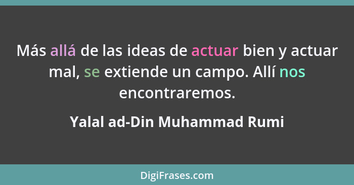 Más allá de las ideas de actuar bien y actuar mal, se extiende un campo. Allí nos encontraremos.... - Yalal ad-Din Muhammad Rumi