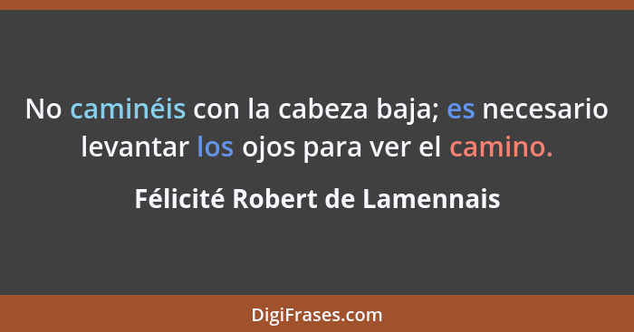 No caminéis con la cabeza baja; es necesario levantar los ojos para ver el camino.... - Félicité Robert de Lamennais