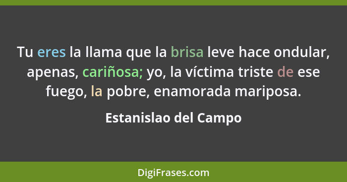 Tu eres la llama que la brisa leve hace ondular, apenas, cariñosa; yo, la víctima triste de ese fuego, la pobre, enamorada mari... - Estanislao del Campo