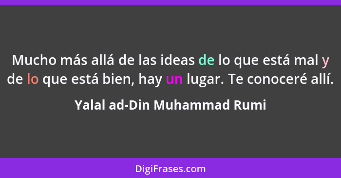 Mucho más allá de las ideas de lo que está mal y de lo que está bien, hay un lugar. Te conoceré allí.... - Yalal ad-Din Muhammad Rumi