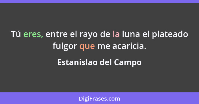 Tú eres, entre el rayo de la luna el plateado fulgor que me acaricia.... - Estanislao del Campo