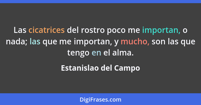 Las cicatrices del rostro poco me importan, o nada; las que me importan, y mucho, son las que tengo en el alma.... - Estanislao del Campo