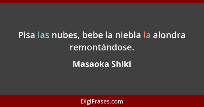 Pisa las nubes, bebe la niebla la alondra remontándose.... - Masaoka Shiki