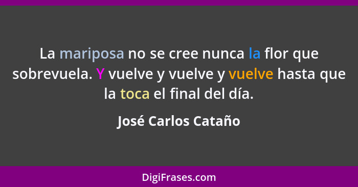 La mariposa no se cree nunca la flor que sobrevuela. Y vuelve y vuelve y vuelve hasta que la toca el final del día.... - José Carlos Cataño