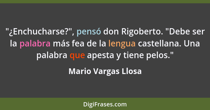 "¿Enchucharse?", pensó don Rigoberto. "Debe ser la palabra más fea de la lengua castellana. Una palabra que apesta y tiene pelos.... - Mario Vargas Llosa