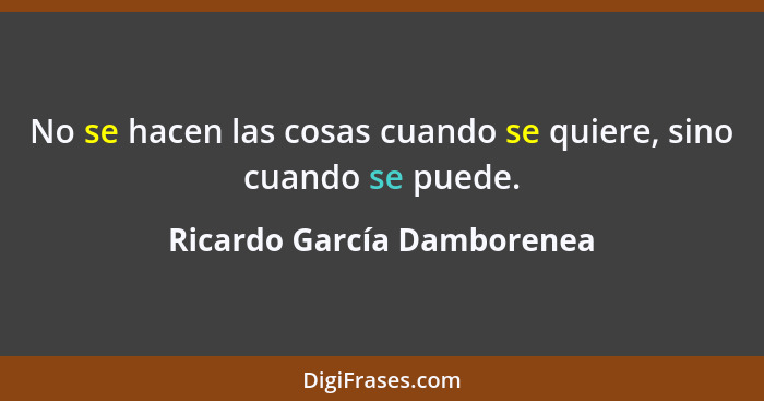 No se hacen las cosas cuando se quiere, sino cuando se puede.... - Ricardo García Damborenea