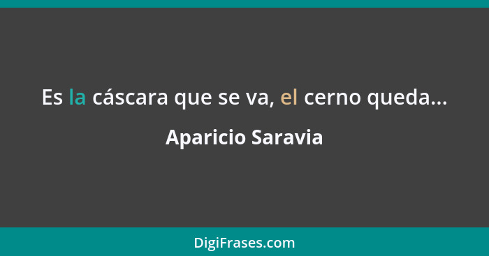 Es la cáscara que se va, el cerno queda...... - Aparicio Saravia