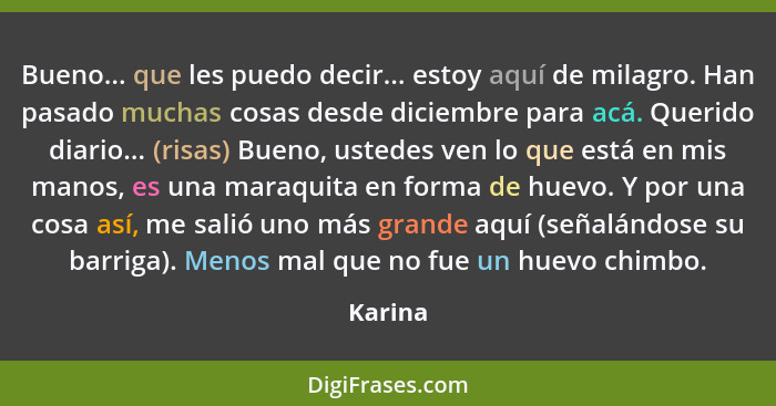 Bueno... que les puedo decir... estoy aquí de milagro. Han pasado muchas cosas desde diciembre para acá. Querido diario... (risas) Bueno, ust... - Karina