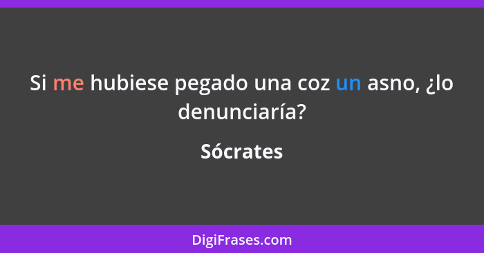 Si me hubiese pegado una coz un asno, ¿lo denunciaría?... - Sócrates