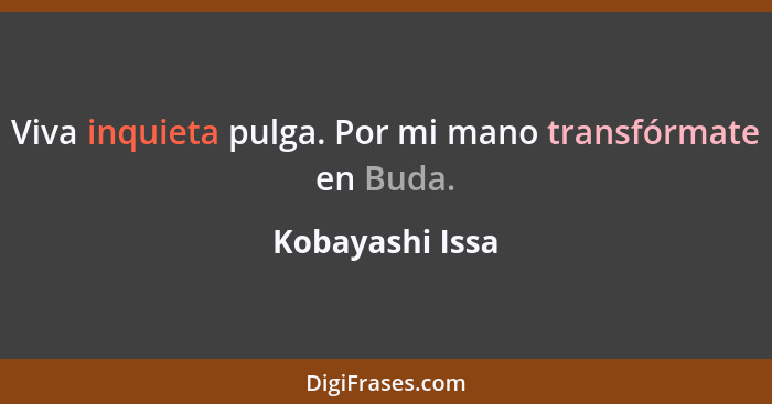 Viva inquieta pulga. Por mi mano transfórmate en Buda.... - Kobayashi Issa