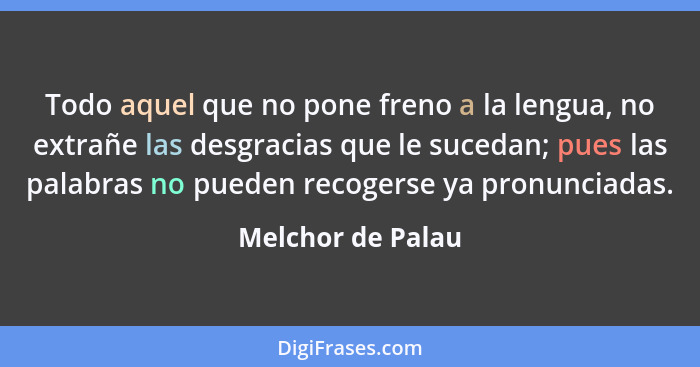 Todo aquel que no pone freno a la lengua, no extrañe las desgracias que le sucedan; pues las palabras no pueden recogerse ya pronun... - Melchor de Palau