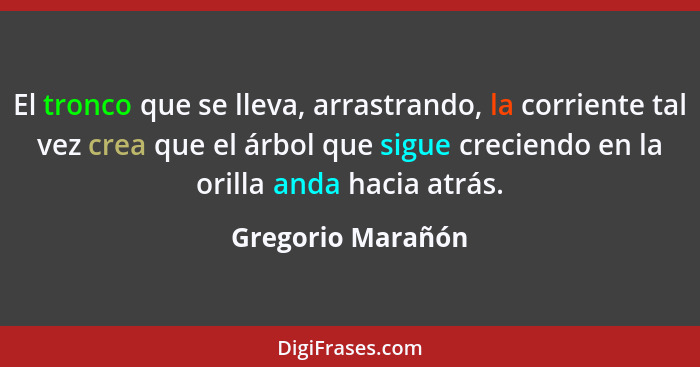 El tronco que se lleva, arrastrando, la corriente tal vez crea que el árbol que sigue creciendo en la orilla anda hacia atrás.... - Gregorio Marañón