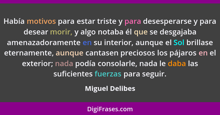 Había motivos para estar triste y para desesperarse y para desear morir, y algo notaba él que se desgajaba amenazadoramente en su int... - Miguel Delibes