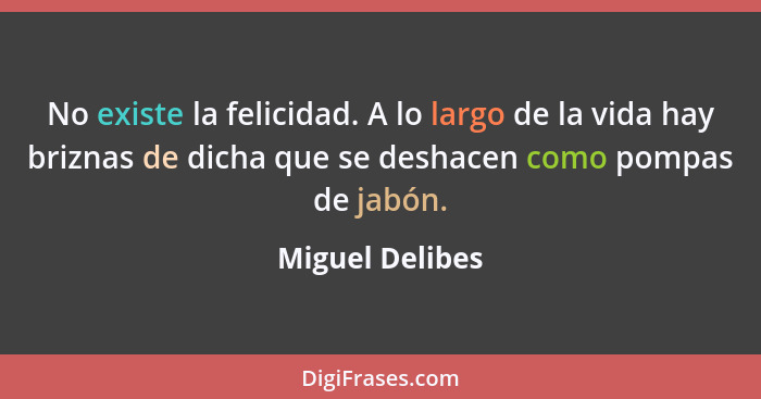 No existe la felicidad. A lo largo de la vida hay briznas de dicha que se deshacen como pompas de jabón.... - Miguel Delibes