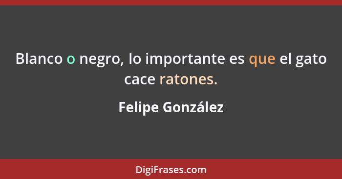 Blanco o negro, lo importante es que el gato cace ratones.... - Felipe González