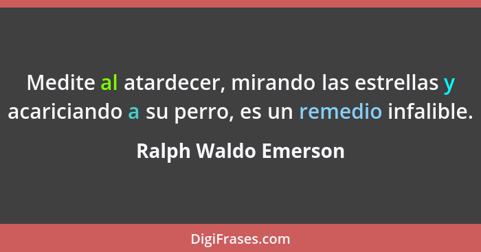 Medite al atardecer, mirando las estrellas y acariciando a su perro, es un remedio infalible.... - Ralph Waldo Emerson