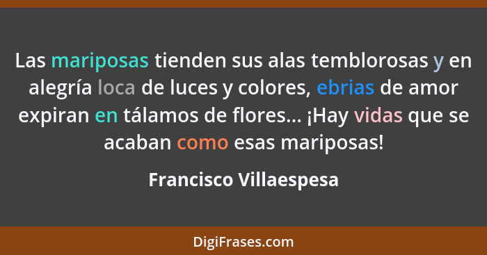 Las mariposas tienden sus alas temblorosas y en alegría loca de luces y colores, ebrias de amor expiran en tálamos de flores..... - Francisco Villaespesa