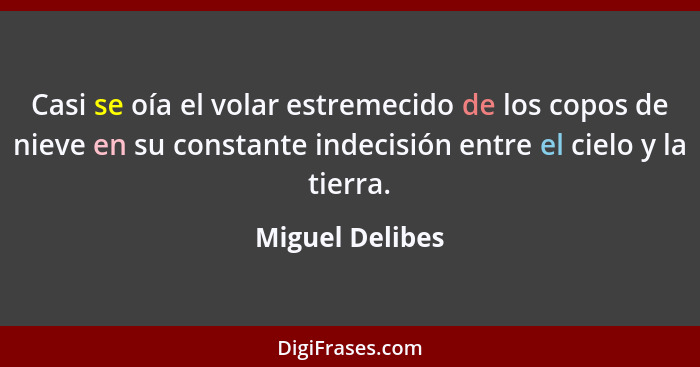 Casi se oía el volar estremecido de los copos de nieve en su constante indecisión entre el cielo y la tierra.... - Miguel Delibes