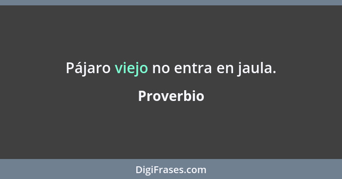 Pájaro viejo no entra en jaula.... - Proverbio