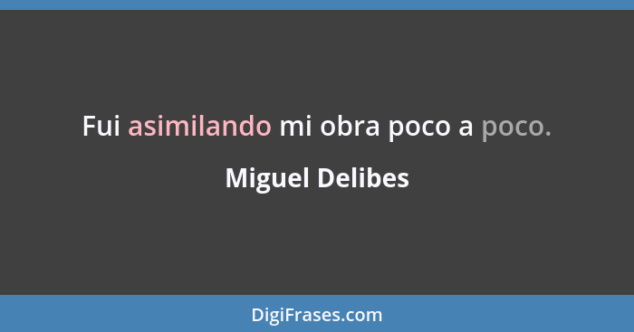 Fui asimilando mi obra poco a poco.... - Miguel Delibes