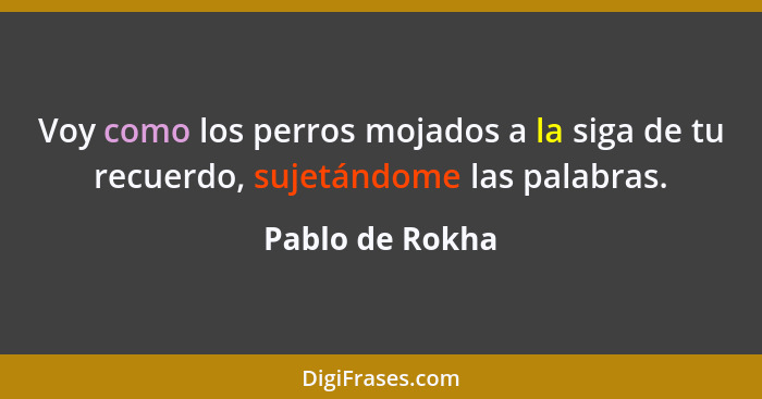 Voy como los perros mojados a la siga de tu recuerdo, sujetándome las palabras.... - Pablo de Rokha