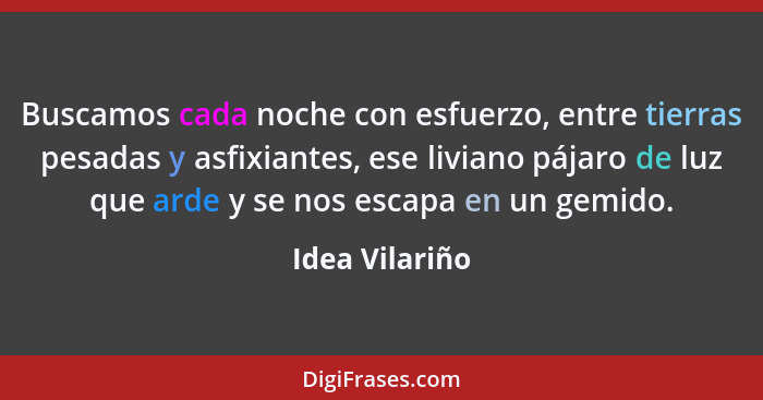 Buscamos cada noche con esfuerzo, entre tierras pesadas y asfixiantes, ese liviano pájaro de luz que arde y se nos escapa en un gemido... - Idea Vilariño