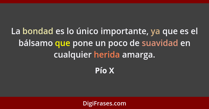 La bondad es lo único importante, ya que es el bálsamo que pone un poco de suavidad en cualquier herida amarga.... - Pío X