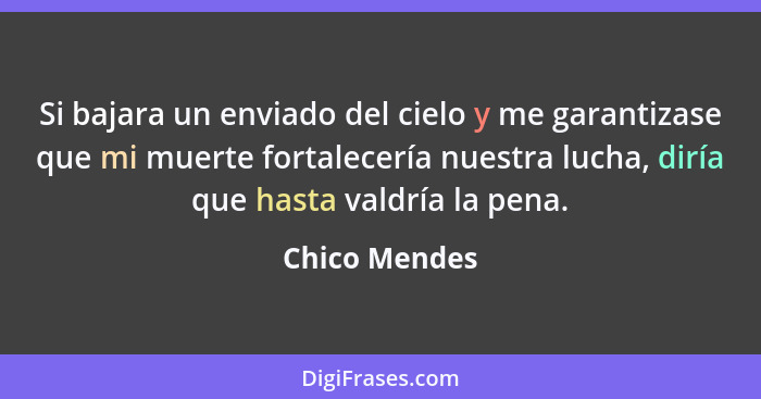 Si bajara un enviado del cielo y me garantizase que mi muerte fortalecería nuestra lucha, diría que hasta valdría la pena.... - Chico Mendes