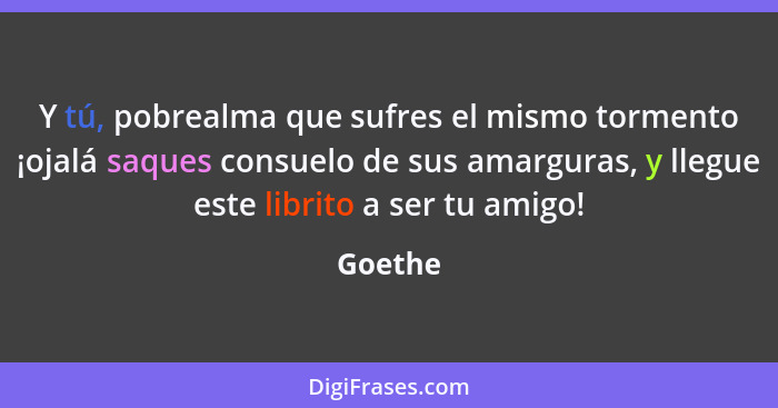 Y tú, pobrealma que sufres el mismo tormento ¡ojalá saques consuelo de sus amarguras, y llegue este librito a ser tu amigo!... - Goethe