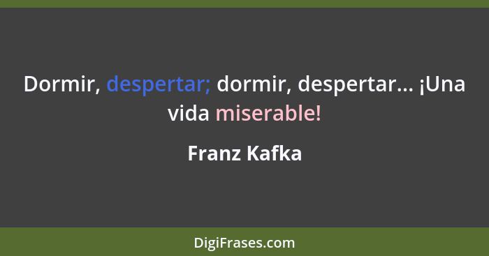 Dormir, despertar; dormir, despertar... ¡Una vida miserable!... - Franz Kafka