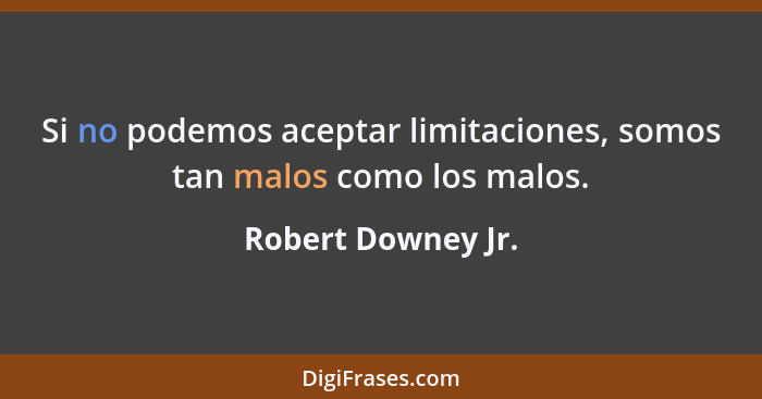 Si no podemos aceptar limitaciones, somos tan malos como los malos.... - Robert Downey Jr.