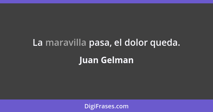 La maravilla pasa, el dolor queda.... - Juan Gelman