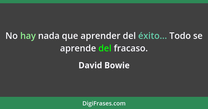 No hay nada que aprender del éxito... Todo se aprende del fracaso.... - David Bowie