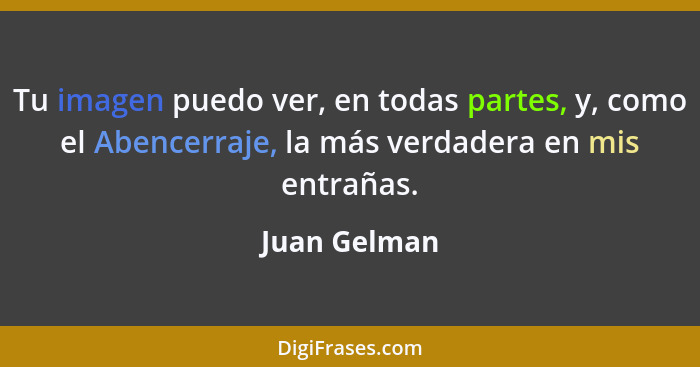 Tu imagen puedo ver, en todas partes, y, como el Abencerraje, la más verdadera en mis entrañas.... - Juan Gelman