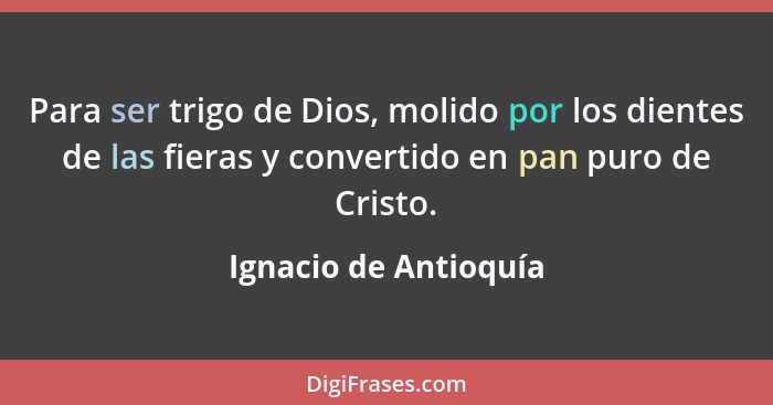 Para ser trigo de Dios, molido por los dientes de las fieras y convertido en pan puro de Cristo.... - Ignacio de Antioquía