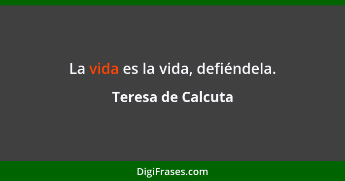 La vida es la vida, defiéndela.... - Teresa de Calcuta