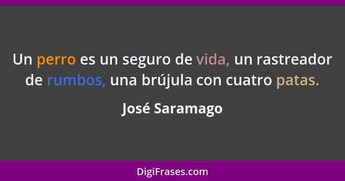 Un perro es un seguro de vida, un rastreador de rumbos, una brújula con cuatro patas.... - José Saramago