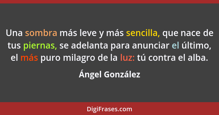 Una sombra más leve y más sencilla, que nace de tus piernas, se adelanta para anunciar el último, el más puro milagro de la luz: tú c... - Ángel González