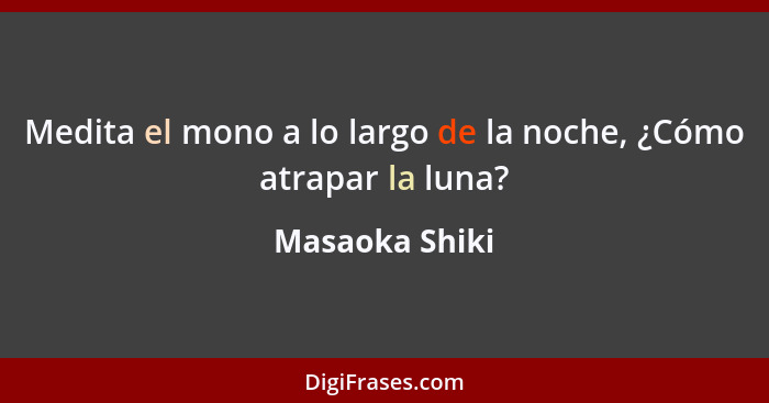 Medita el mono a lo largo de la noche, ¿Cómo atrapar la luna?... - Masaoka Shiki