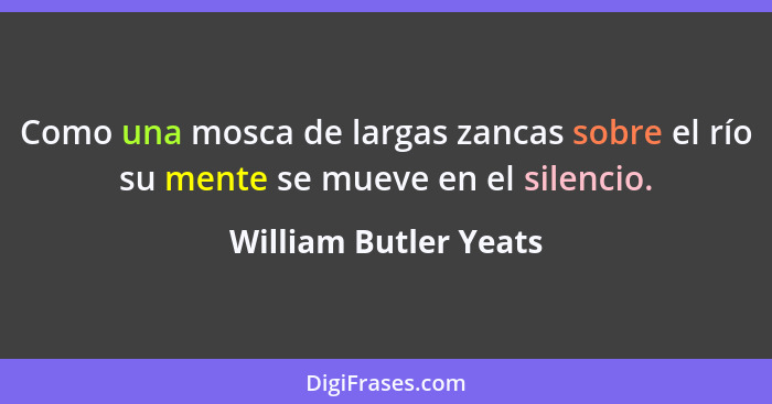 Como una mosca de largas zancas sobre el río su mente se mueve en el silencio.... - William Butler Yeats