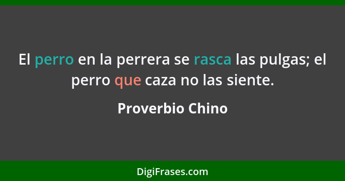 El perro en la perrera se rasca las pulgas; el perro que caza no las siente.... - Proverbio Chino