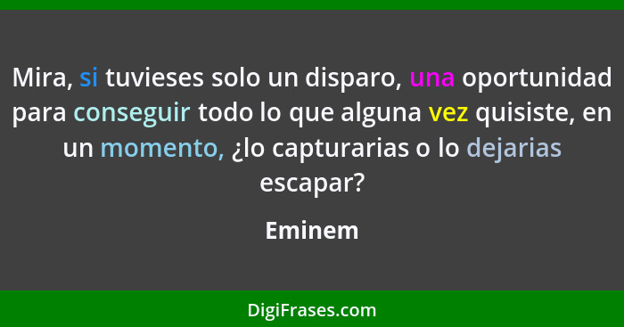 Mira, si tuvieses solo un disparo, una oportunidad para conseguir todo lo que alguna vez quisiste, en un momento, ¿lo capturarias o lo dejari... - Eminem