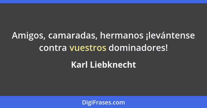 Amigos, camaradas, hermanos ¡levántense contra vuestros dominadores!... - Karl Liebknecht