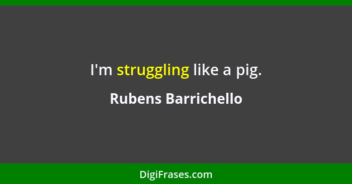 I'm struggling like a pig.... - Rubens Barrichello