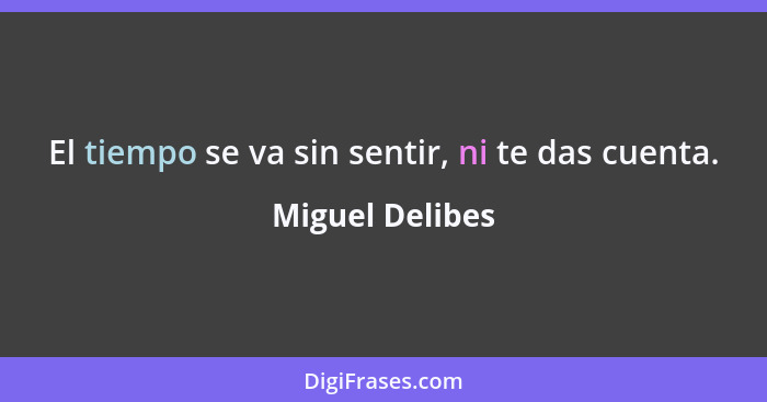 El tiempo se va sin sentir, ni te das cuenta.... - Miguel Delibes