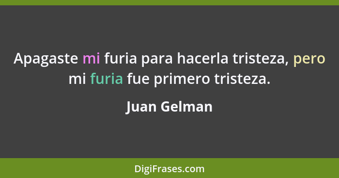 Apagaste mi furia para hacerla tristeza, pero mi furia fue primero tristeza.... - Juan Gelman