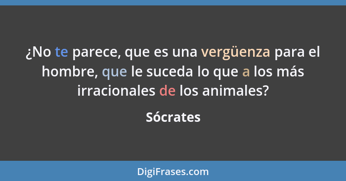 ¿No te parece, que es una vergüenza para el hombre, que le suceda lo que a los más irracionales de los animales?... - Sócrates