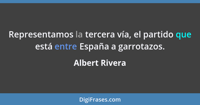 Representamos la tercera vía, el partido que está entre España a garrotazos.... - Albert Rivera