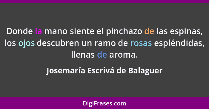 Donde la mano siente el pinchazo de las espinas, los ojos descubren un ramo de rosas espléndidas, llenas de aroma.... - Josemaría Escrivá de Balaguer