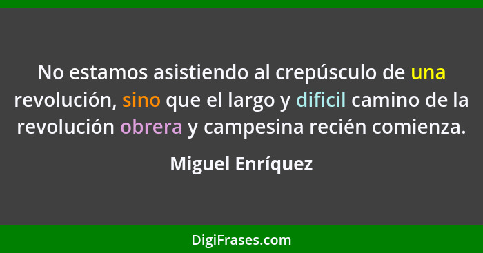 No estamos asistiendo al crepúsculo de una revolución, sino que el largo y dificil camino de la revolución obrera y campesina recién... - Miguel Enríquez